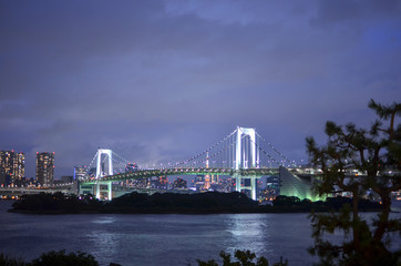 Obraz premium The Night View Of Tokyo. Bridge At Night.