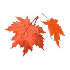 Senescent falling red leaves of maple tree or shrub. National symbol of Canada. Beautiful autumn nature. Relaxation, stress releasing in park, forest concept. Vector cartoon isolated on white.