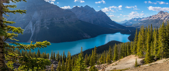 Gorgeous Peyto Lake Panorama