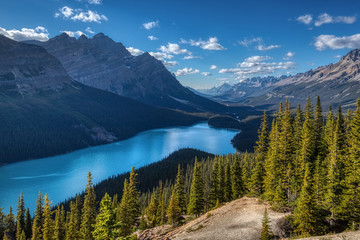 Gorgeous Peyto Lake