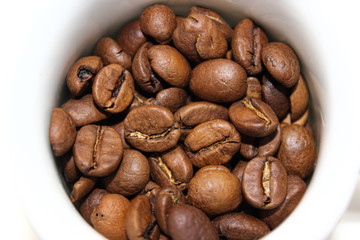 coffee beans on a white background