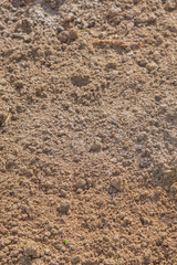 The land is fertilized mixed with black soil on the bed