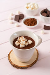 hot chocolate with marshmallows