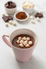 hot chocolate with marshmallows