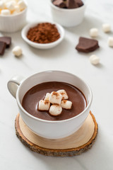 hot chocolate with marshmallows