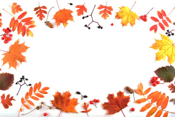 Autumn composition on a white background. Frame made of dried leaves and other natural material. Flat lay, top view, copy space