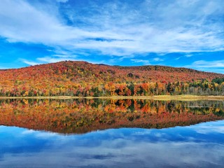 Autumn landscape with lake