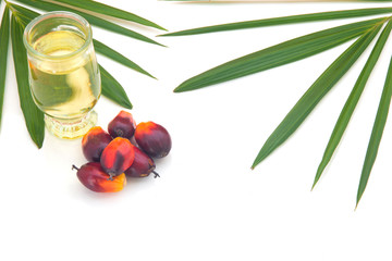 Red Oil Palm seed and leaf with cooking palm oil in glass on white background.
