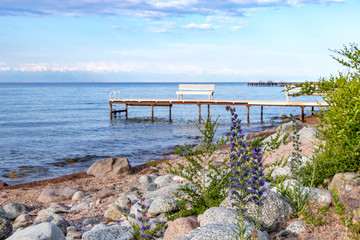 Issyk-Kul lake with Echium vulgare flowers on a rocky beach and mountains with snow-capped peaks on...
