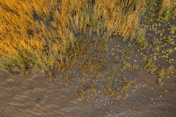 Сolorful autumn landscape Aerial view drone shot