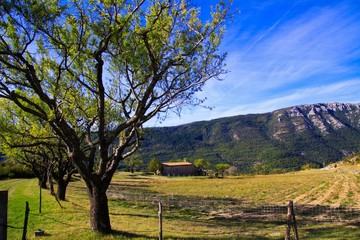View beyond row of trees on isolated valley with French farm house and mountains background against...