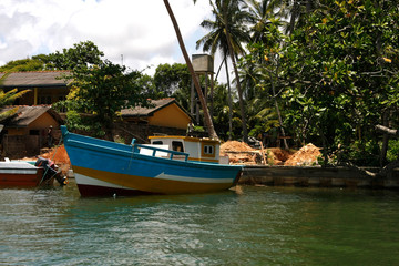 Fototapeta na wymiar Fischerboote und Fisch im Hafen von Negombo, Sri Lanka