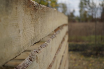 Wooden fence on a background of green trees. A fence of wood against the backdrop of an autumn forest.
