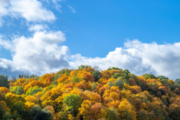 October golden landscape in Europe. Autumn outdoor. Top of yellow, red and green trees, and blue sky with scenic white clouds.