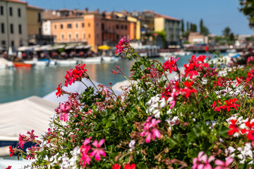 Fototapeta na wymiar Balcony of flowers on Lake Garda