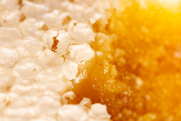 Bee honey in honeycombs as a background