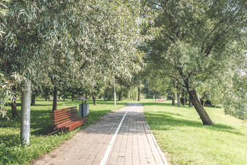 bench in the park among the green trees and a track for running. Park for walks