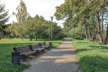 Bench in the park among green trees. Park for walks