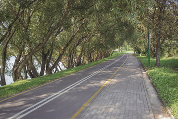 Bike path in the park with green grass and alea trees. Summer day. Beautiful  landscape.
