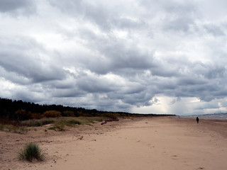 A cool, windy beach in the fall. Cloudy sky. Without people.
