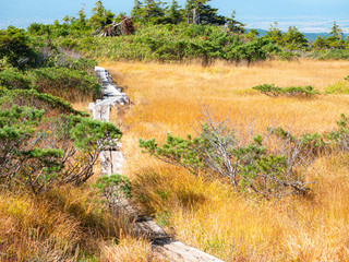 八甲田山 紅葉 登山