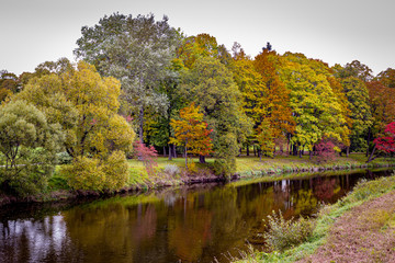 Fototapeta na wymiar Autumn trees at riverbank