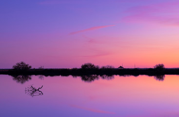 beautiful sunset with pastel colors and reflections of plants in marshes