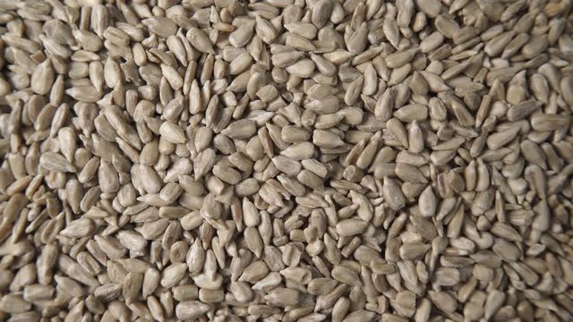 Sunflower seeds as natural food background or texture. Top view. Healthy food