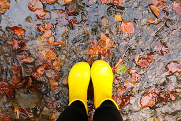 Autumn, puddles and feet in boots. Yellow boots in the fall. Rainy weather in the fall. Yellow fallen leaves in puddles. We cross the river in the saogs
