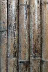 Getrockneter Bambus als Hintergrund