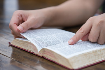 Fototapeta premium Women reading the Holy Bible,Reading a book.