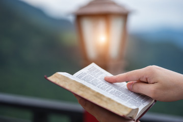 Women reading the Holy Bible,Reading a book.