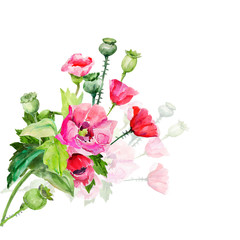 Obraz premium Bouquet of pink poppies. Sketch of a bouquet of flowering.Pattern seamless.