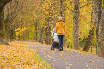 Fototapeta premium Young mother pushing white baby stroller. Walking through alley of trees at park. Orange yellow leaves. Peaceful atmosphere. Spending time with infant in beautiful, autumn day. Breathing fresh air.