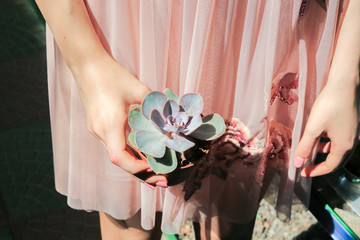 the girl holds a succulent. 
