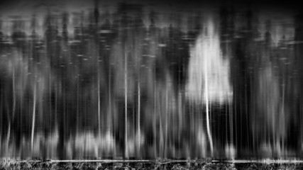 View of reflection of autumn forest in water. Inverted picture. Black and white.