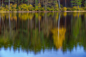 View of reflection of autumn forest in water.