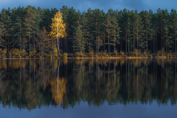 Latvian  nature. Kangari lake in forest. Reflection in water.