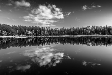 Latvian  nature. Kangari lake in forest. Black and white. Reflection in water.