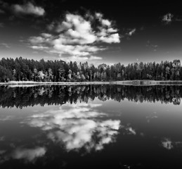 Latvian  nature. Kangari lake in forest. Black and white. Reflection in water.