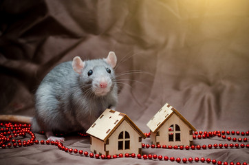 Fototapete bei efototapeten.de bestellen   