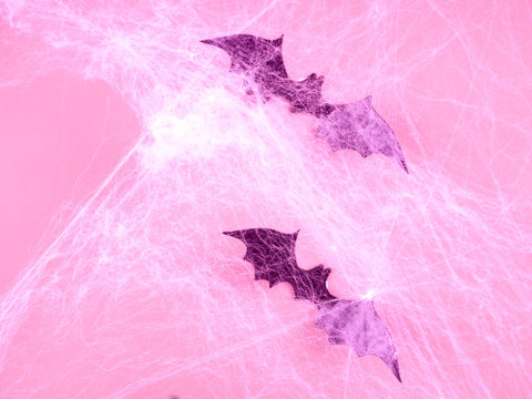 Pink Halloween Concept. Bats And Cobwebs On Pink Background