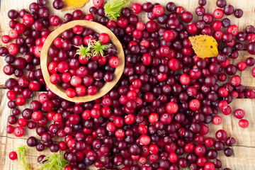 Fresh red cranberry in wooden bowl. Autumn harvest of wild berries. Above view.