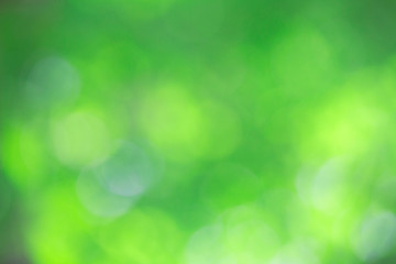 Fototapeta premium Bokeh green nature, Subtle background in abstract style for graphic design