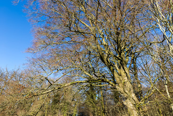 Obraz premium Ballade en campagne