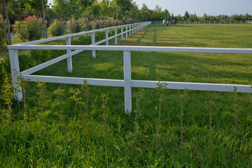 Fototapeta premium Green pastures of horse farms. Empty racing track racecourse without horses and riders . White concrete fence in horse farm field .
