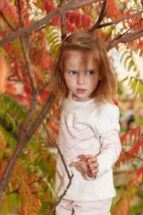 Adorable baby girl playing in a sunny park under a tree with yellow leaves, hiding behind tree