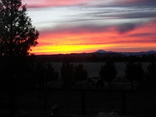 Obraz premium sunset, sky, clouds, sun, sunrise, orange, landscape, cloud, nature, red, evening, trees, dusk, beautiful, morning, silhouette, light, blue, tree, horizon, night, dawn