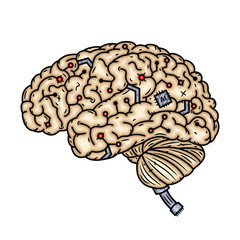 Brain. Cyber brain. Vector illustration isolated on white background.