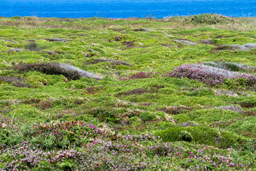 Praia das Catedrais o Praia de Augas Santas, Ribadeo, Galizia, Spagna